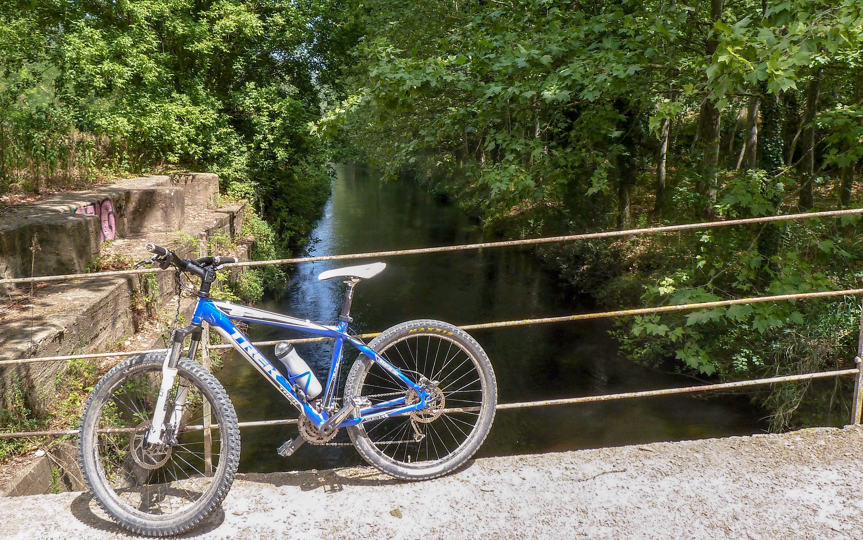 Paseos en Bici