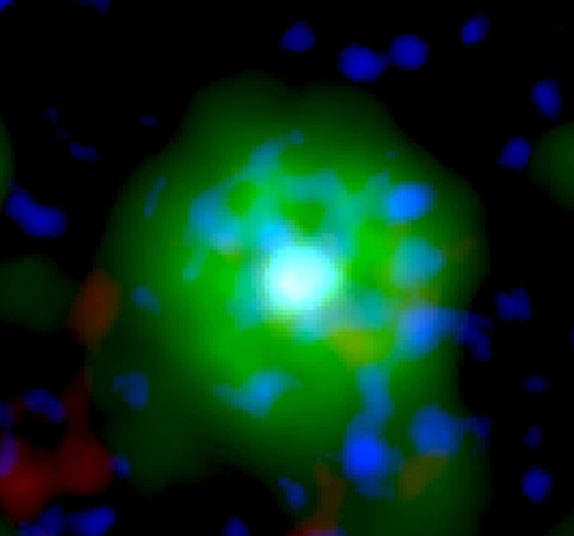 Observaciones de un objeto super-Chandrasekhar