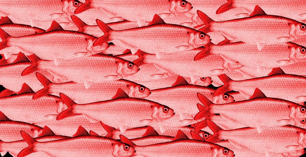Seven Reasons Converting COBOL to Java to Save Cash Is a Red Herring